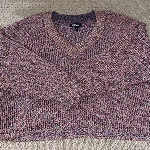 Express Multi-Colored Cropped Sweater